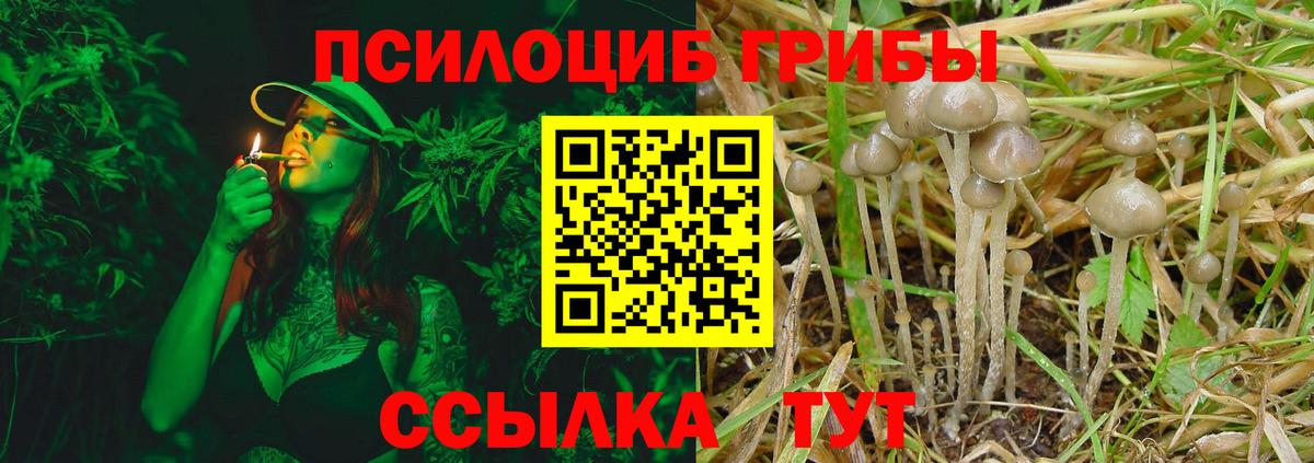 Стрежевой  Псилоцибиновые грибы Cubensis  Галлюциногенные грибы мухоморы  Вход с VPN 